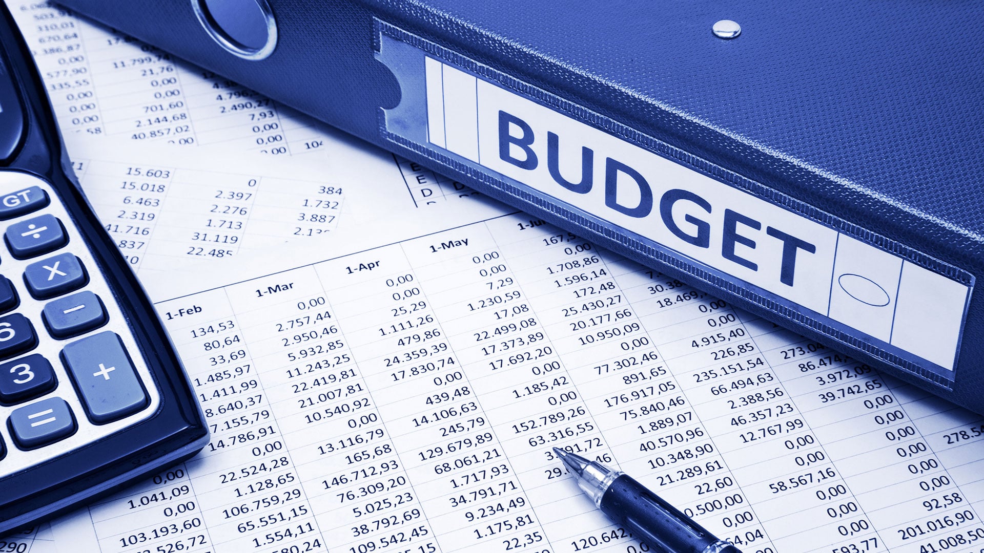 Image for Budget Division Manuals